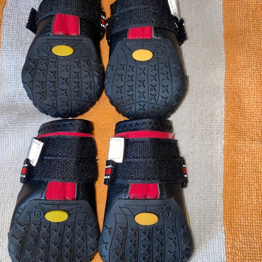 Brand new Qumy pet brand Doggie shoes.